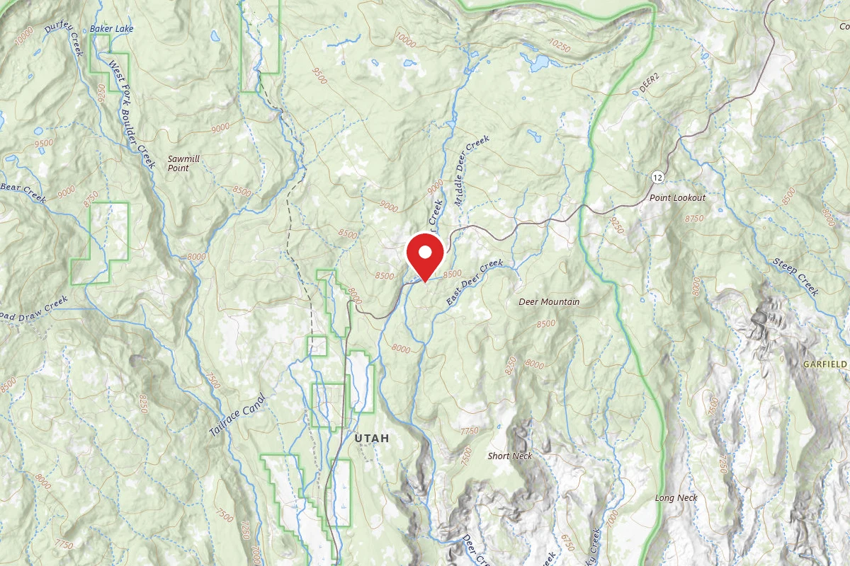 Dispersed Site near 37.9982, -111.4113