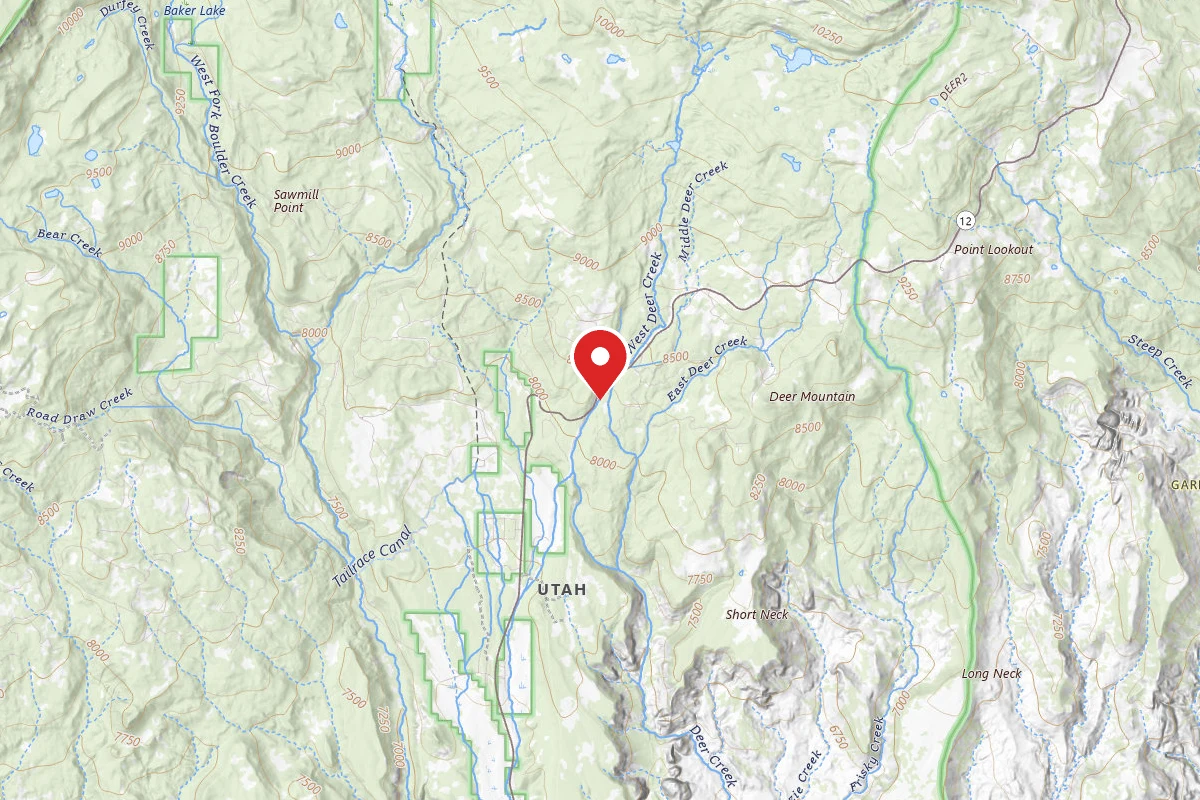 Dispersed Site near 37.9942, -111.4177