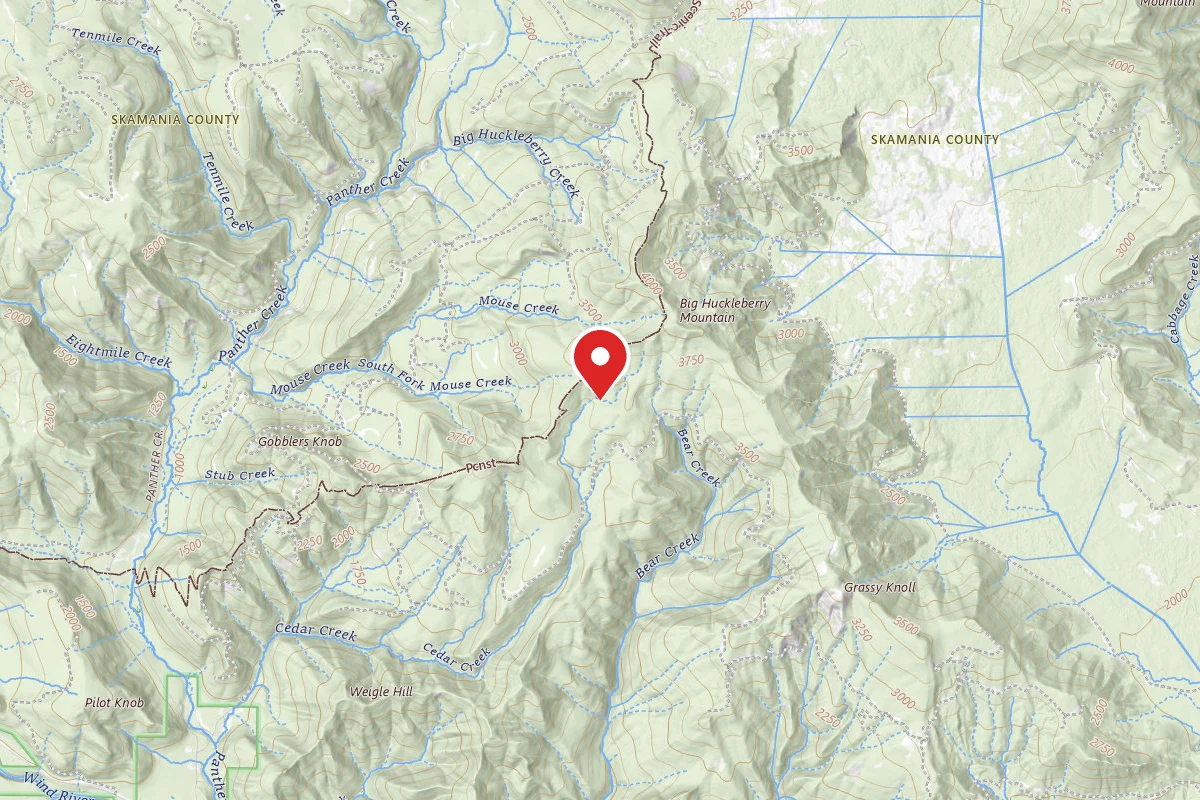 Dispersed Site near 45.8384, -121.7970