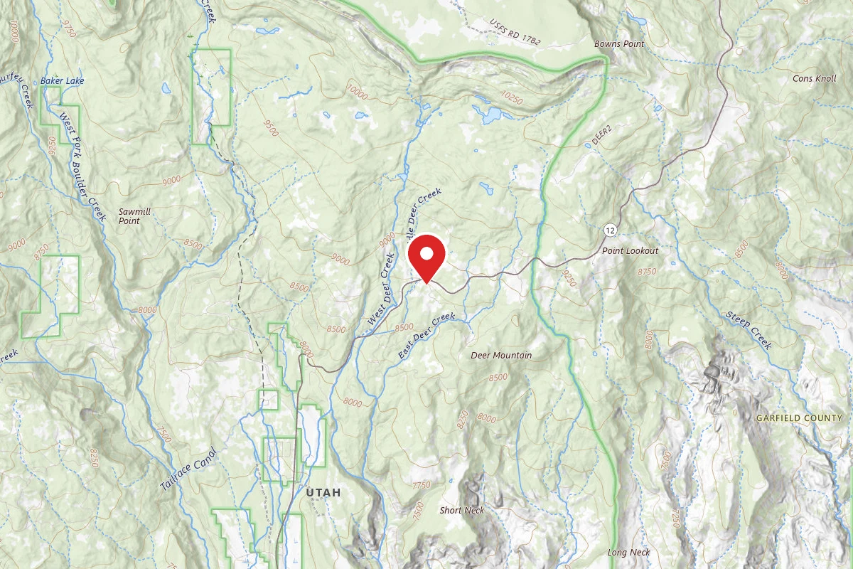 Dispersed Site near 38.0081, -111.3993