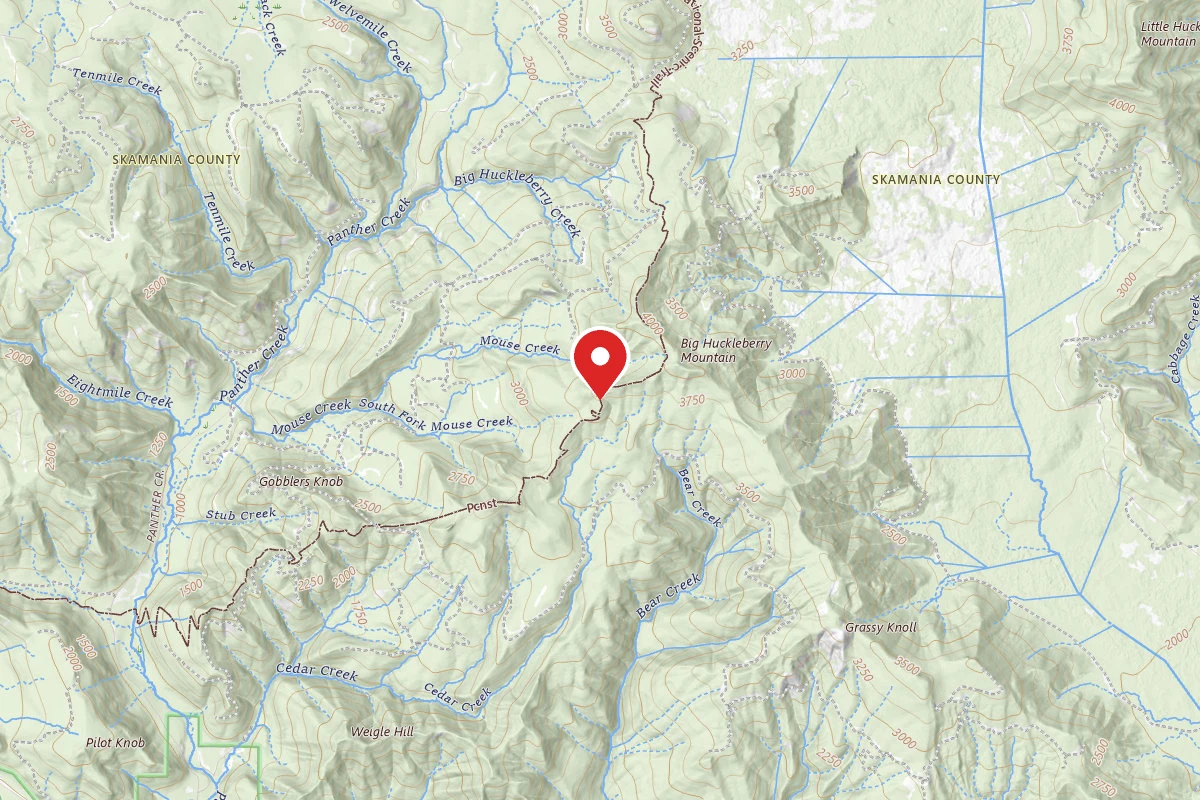 Dispersed Site near 45.8431, -121.7972