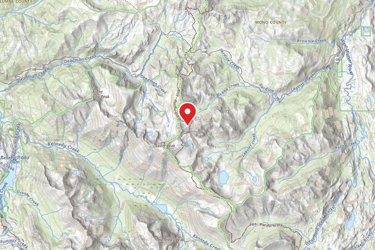 Dispersed Site near 38.2962, -119.6386