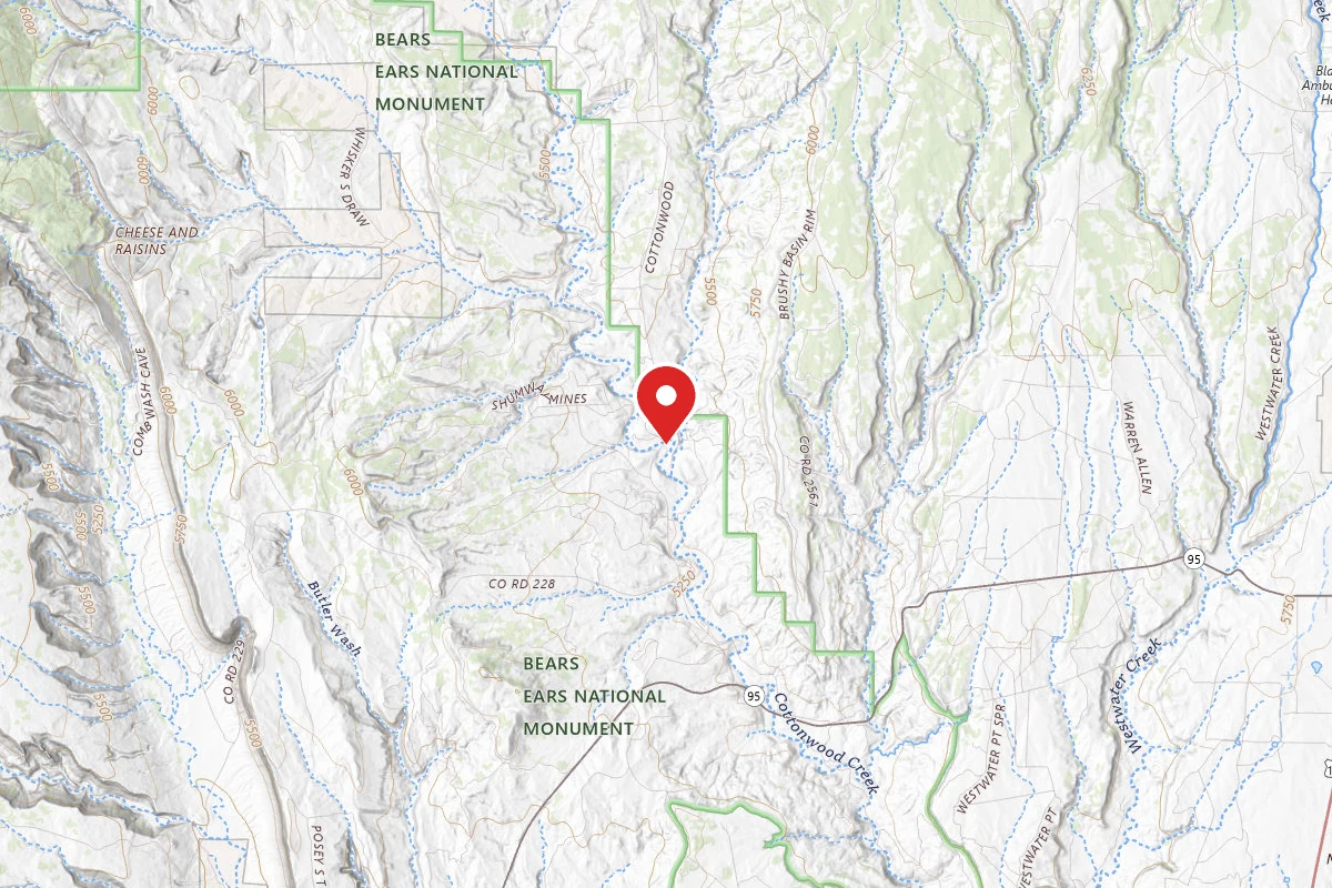 Dispersed Site near 37.5922, -109.5940