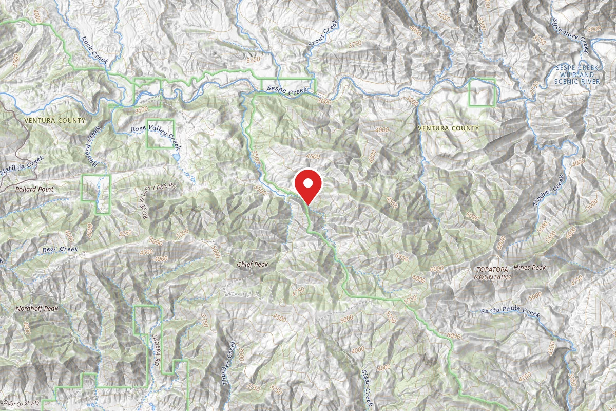 East Fork Lion Camp