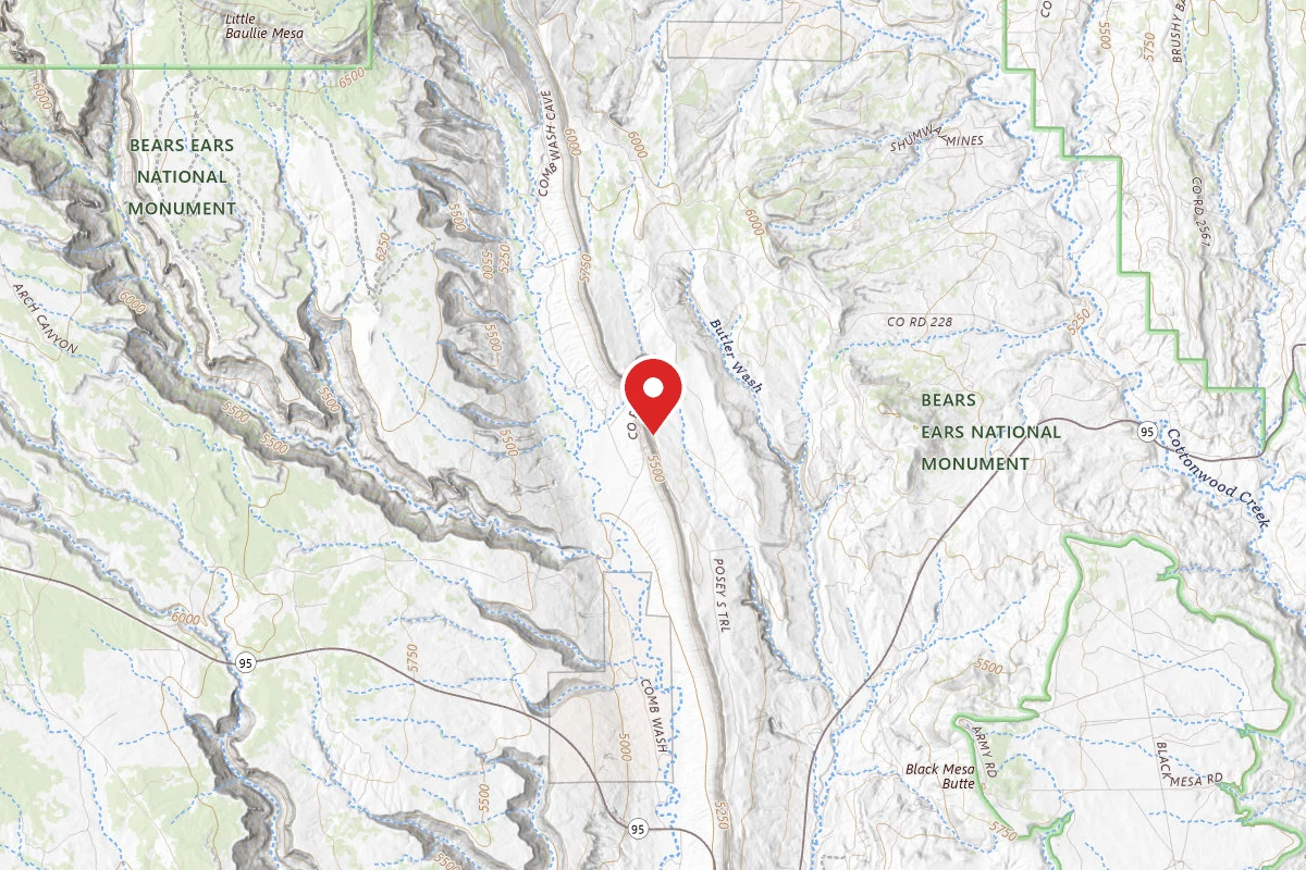 Dispersed Site near 37.5609, -109.6584