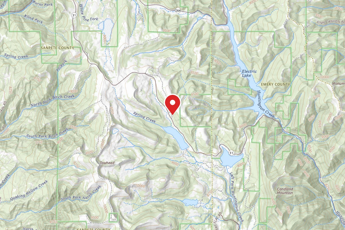 Dispersed Site near 39.6008, -111.2709