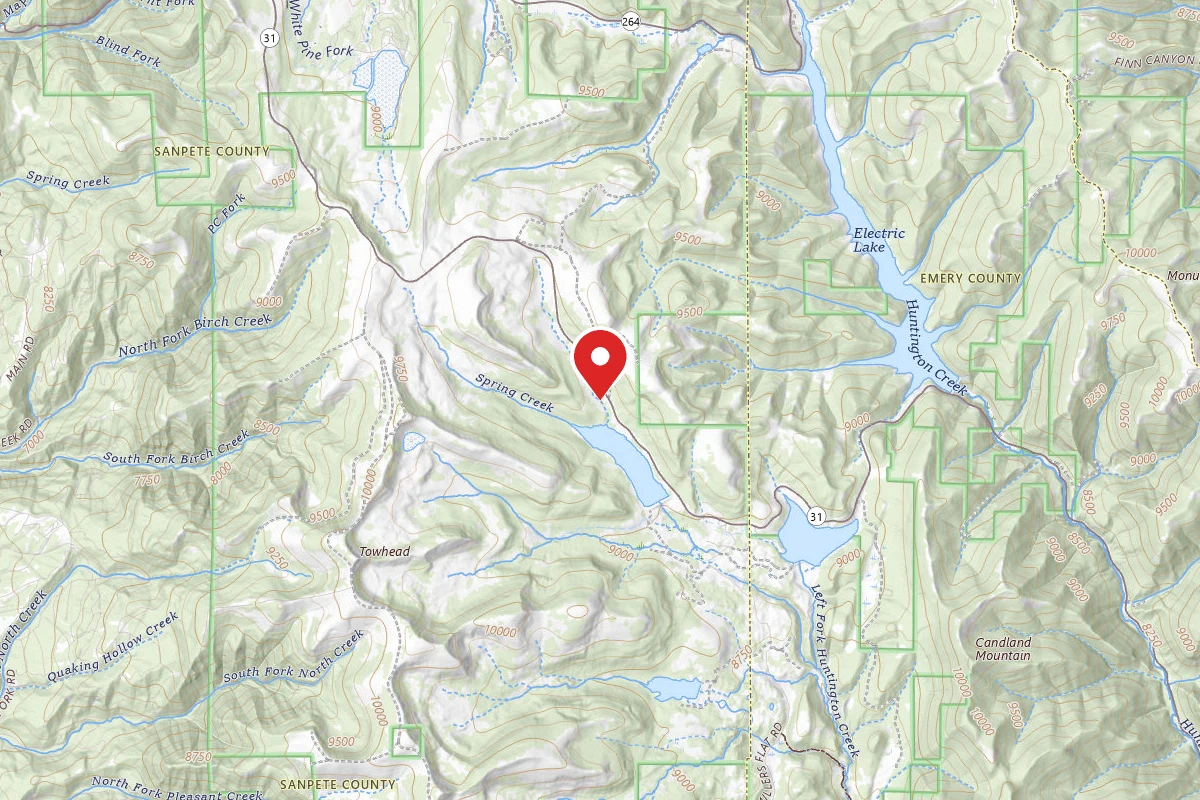 Dispersed Site near 39.5989, -111.2730