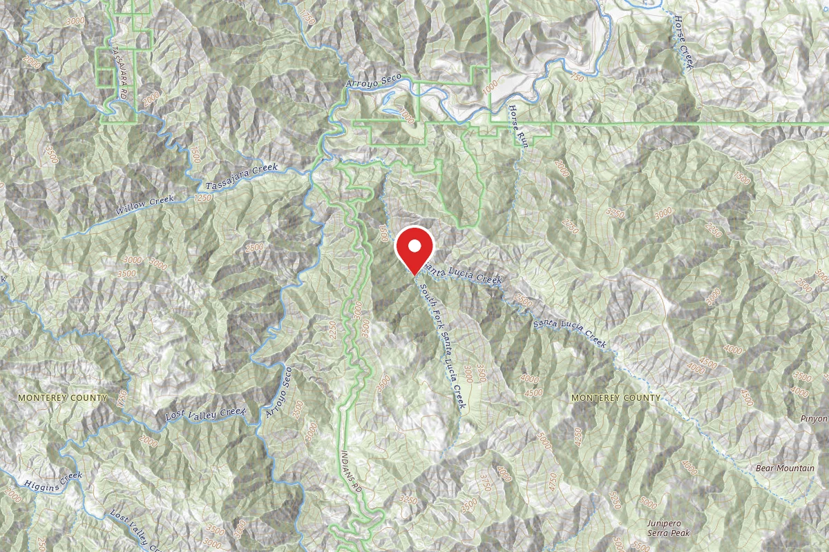Dispersed Site near 36.1984, -121.4765