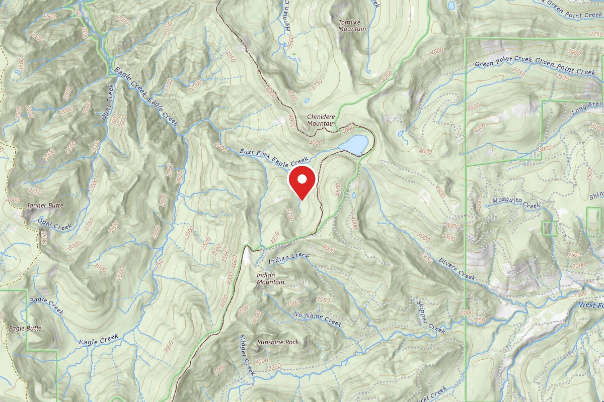 Dispersed Site near 45.5685, -121.8129