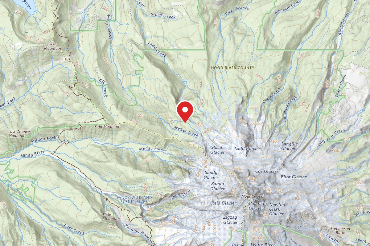 Dispersed Site near 45.4031, -121.7333