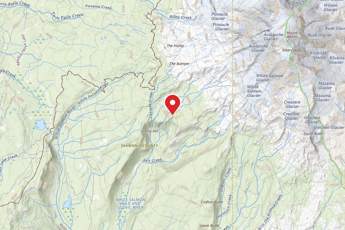 Dispersed Site near 46.1692, -121.5583