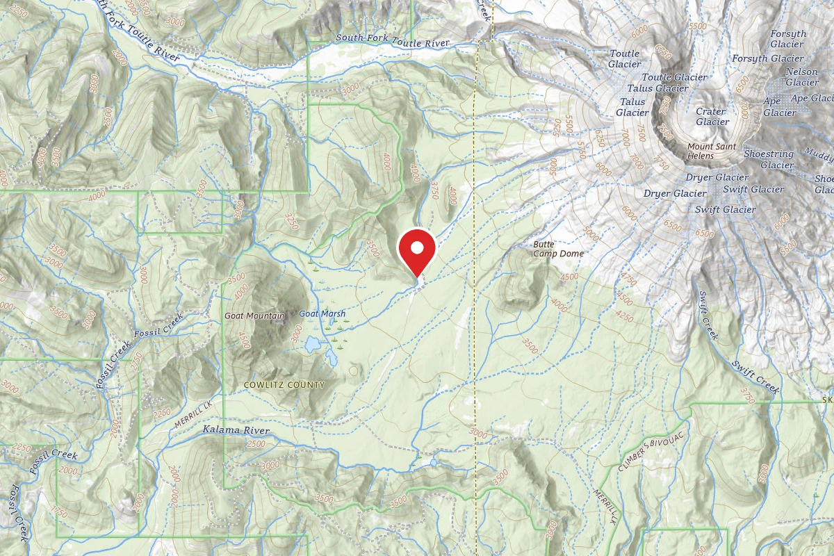 Dispersed Site near 46.1711, -122.2606