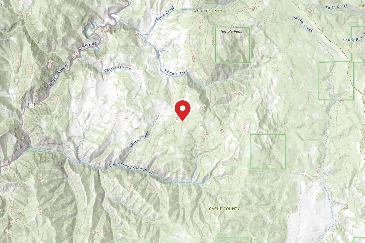 Dispersed Site near 41.7923, -111.5552