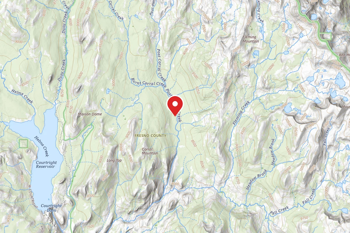 Dispersed Site near 37.1218, -118.8972