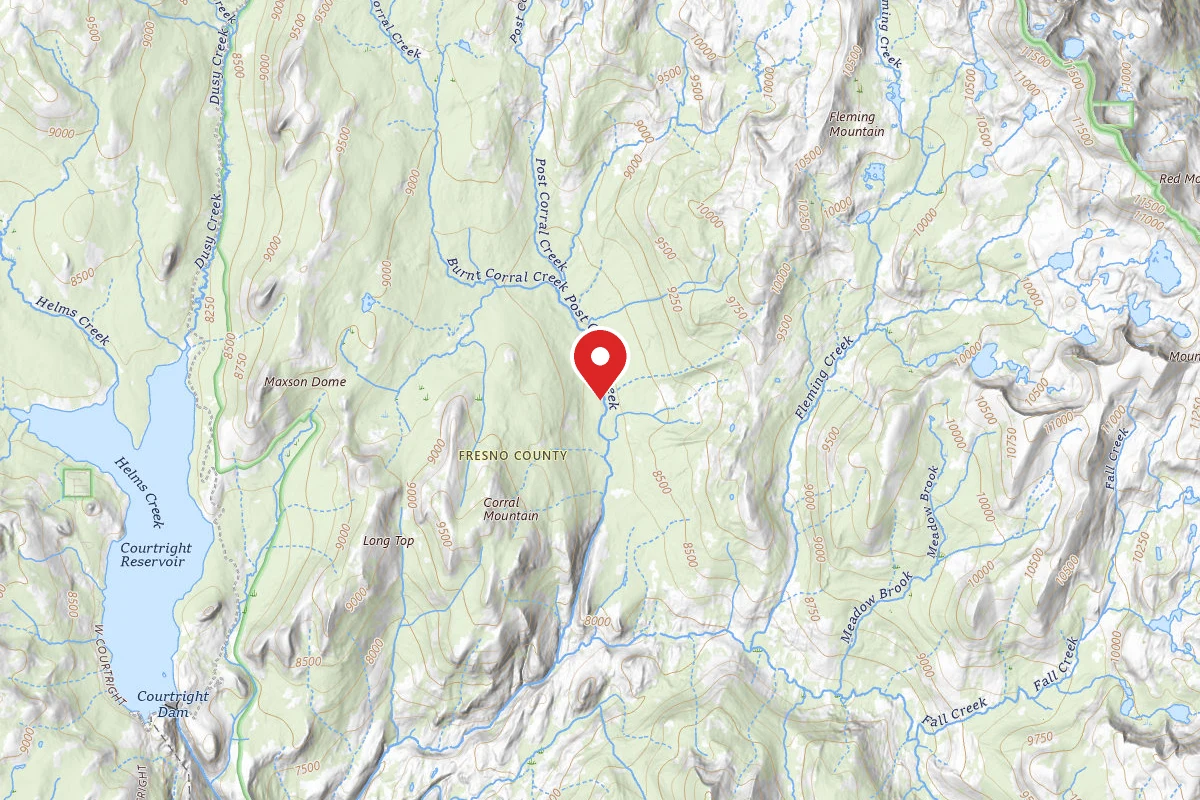 Dispersed Site near 37.1205, -118.8968