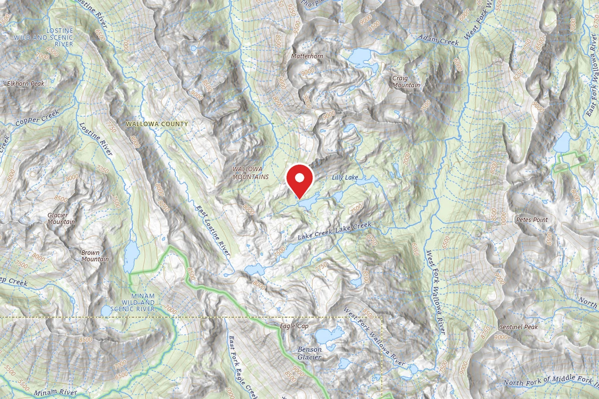 Dispersed Site near 45.1951, -117.2943