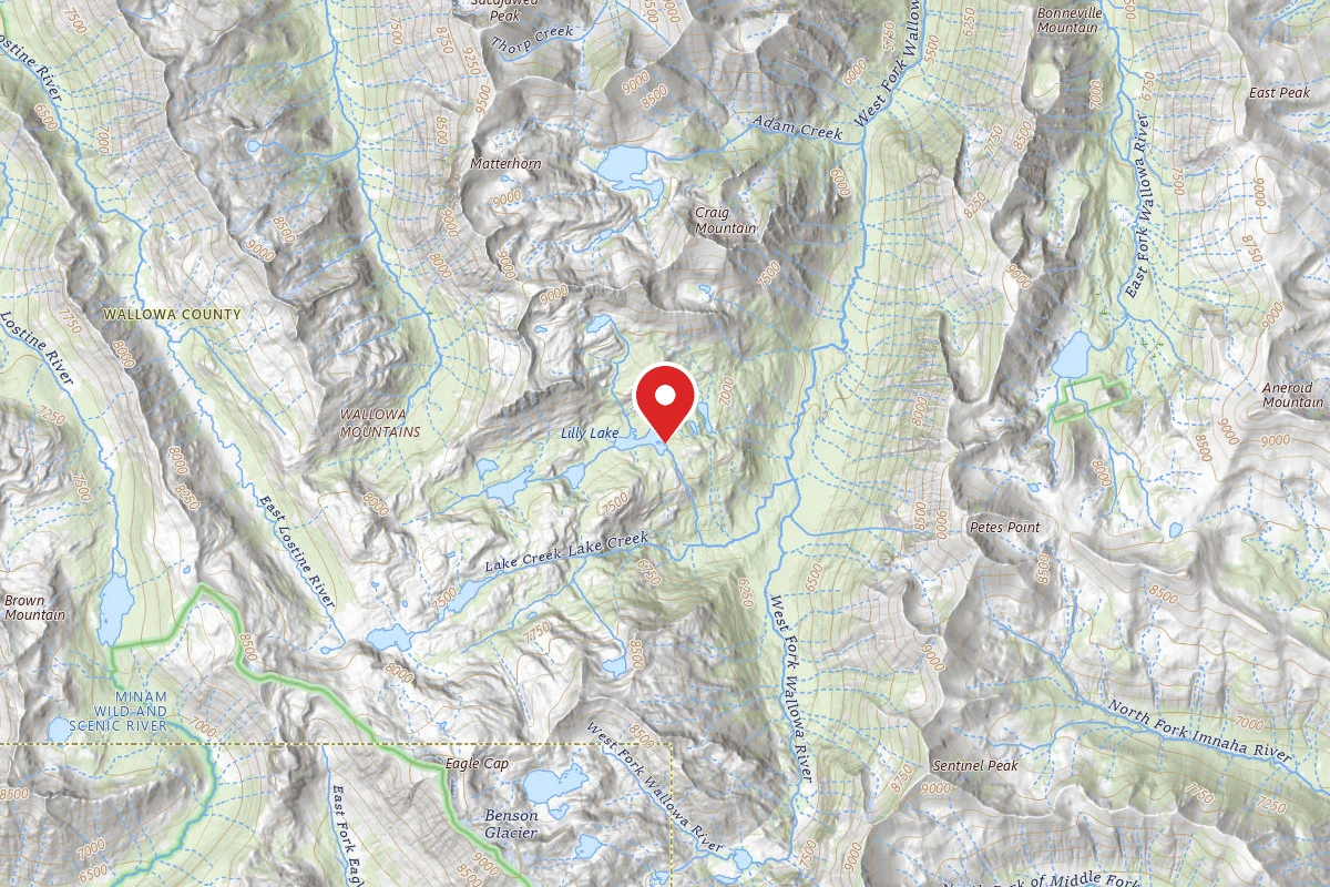 Dispersed Site near 45.1993, -117.2671