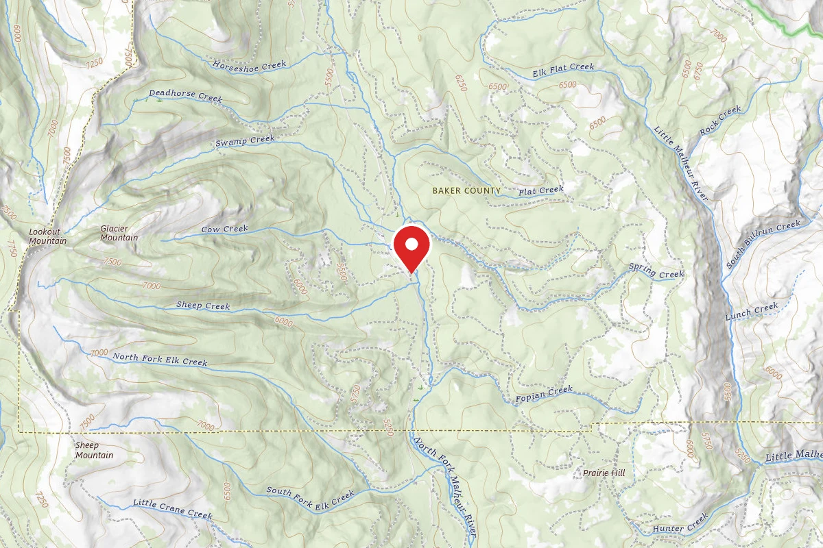 Primitive Camping Area