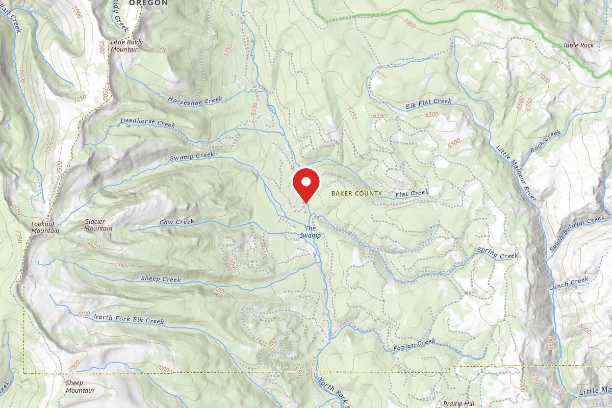 Primitive Camping Area