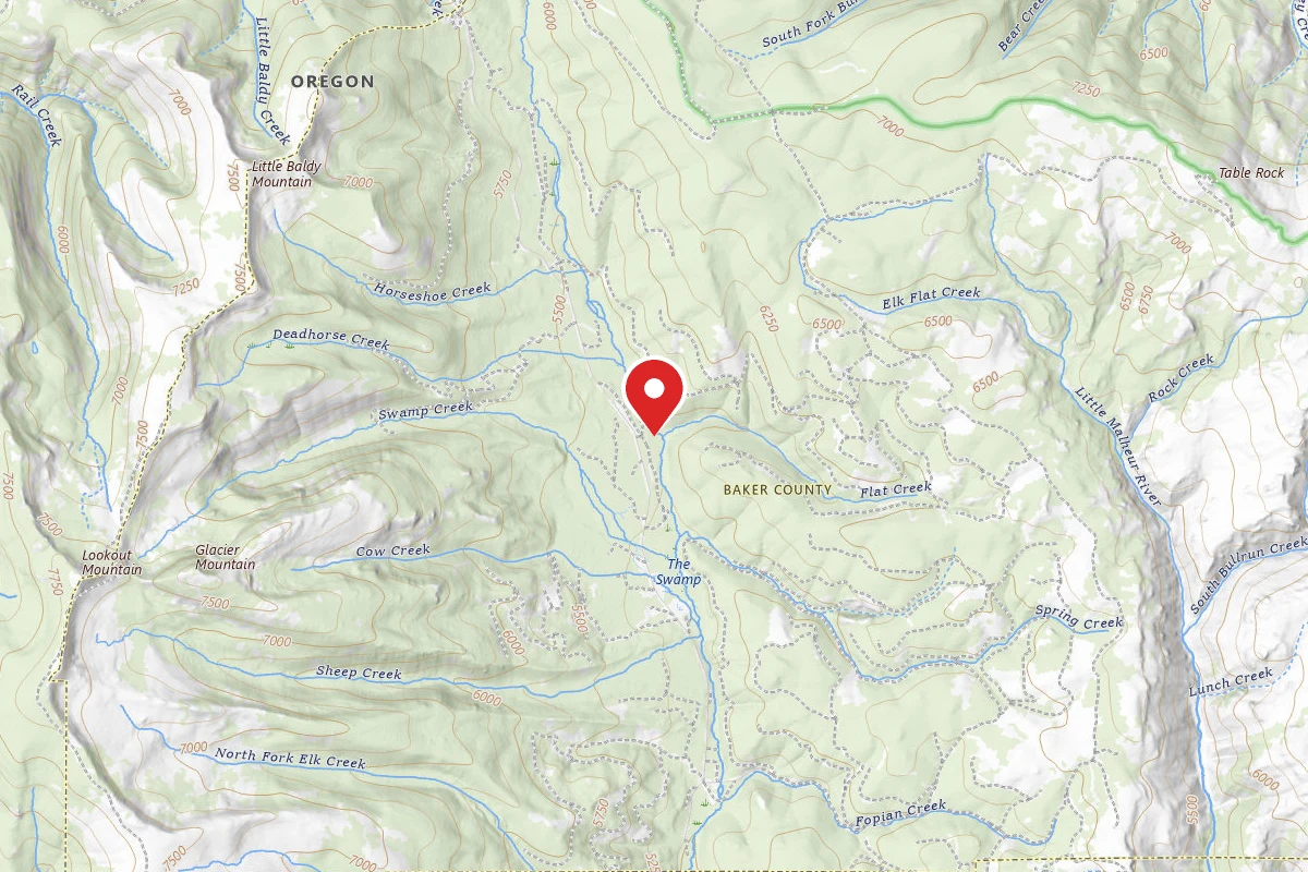 Primitive Camping Area