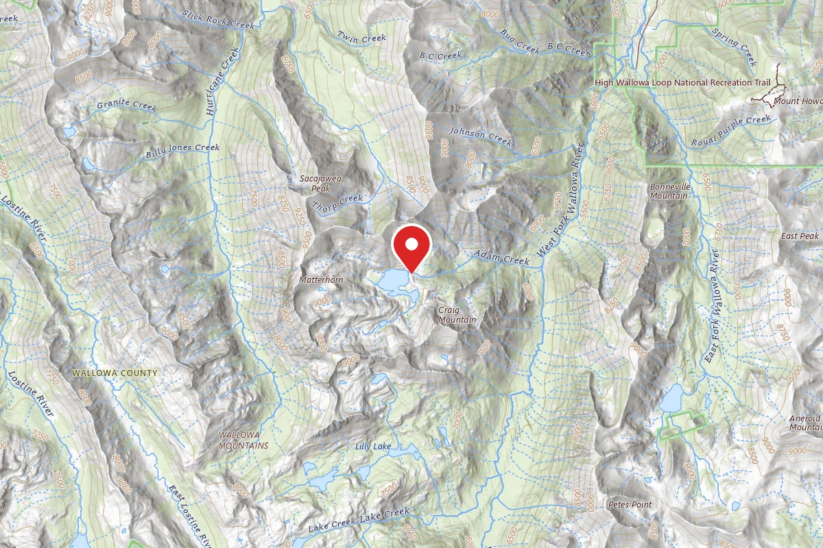 Dispersed Site near 45.2309, -117.2690