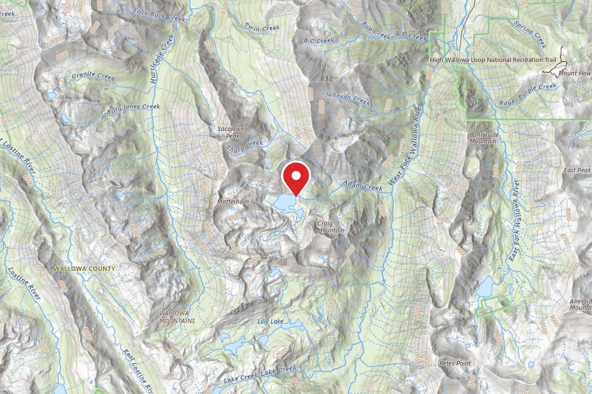 Dispersed Site near 45.2310, -117.2698