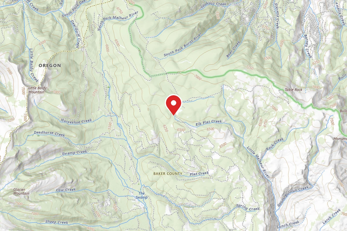 Primitive Camping Area