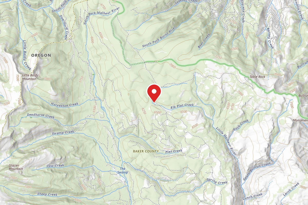 Primitive Camping Area