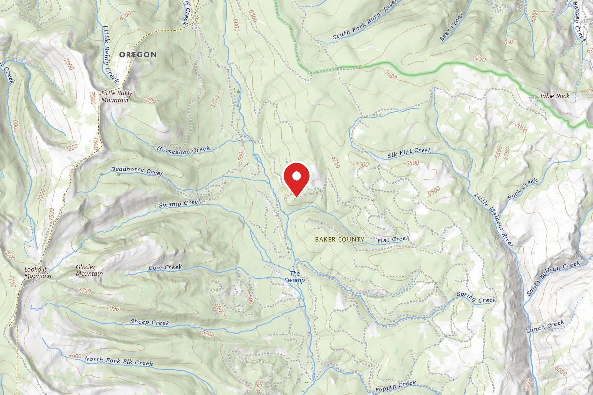 Primitive Camping Area