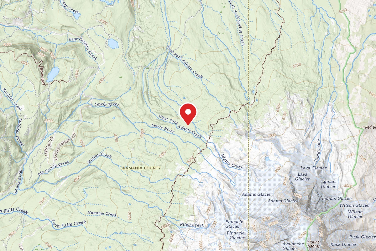 Dispersed Site near 46.2473, -121.5555