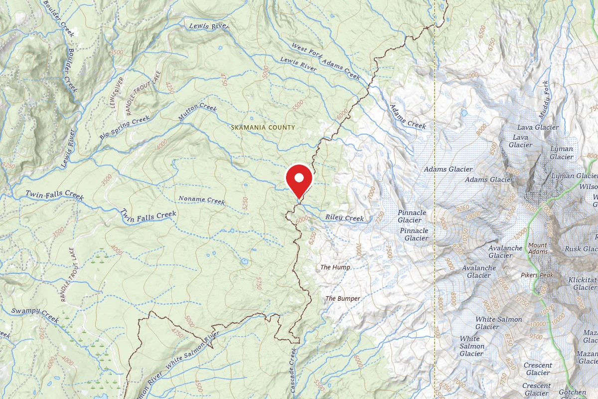 Dispersed Site near 46.2141, -121.5691