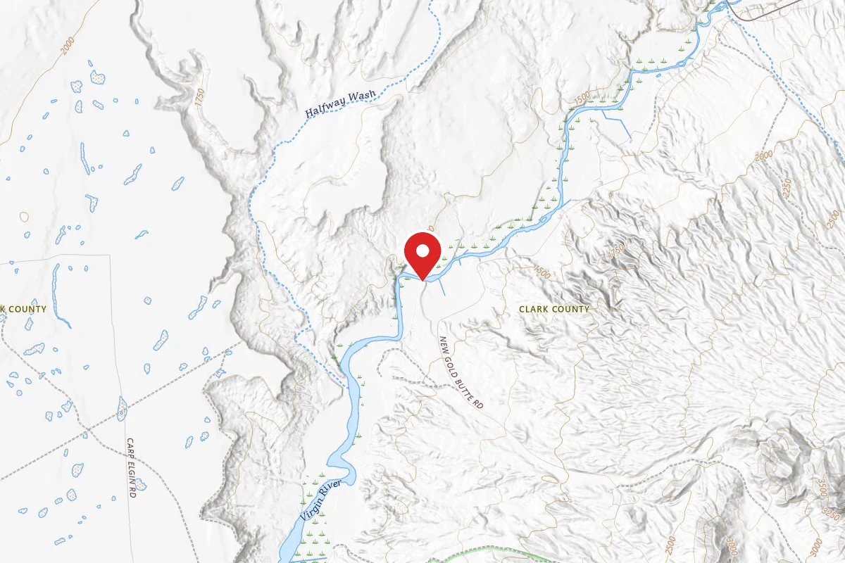 Dispersed Site near 36.6796, -114.2941