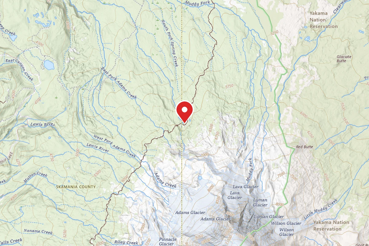 Dispersed Site near 46.2559, -121.5208