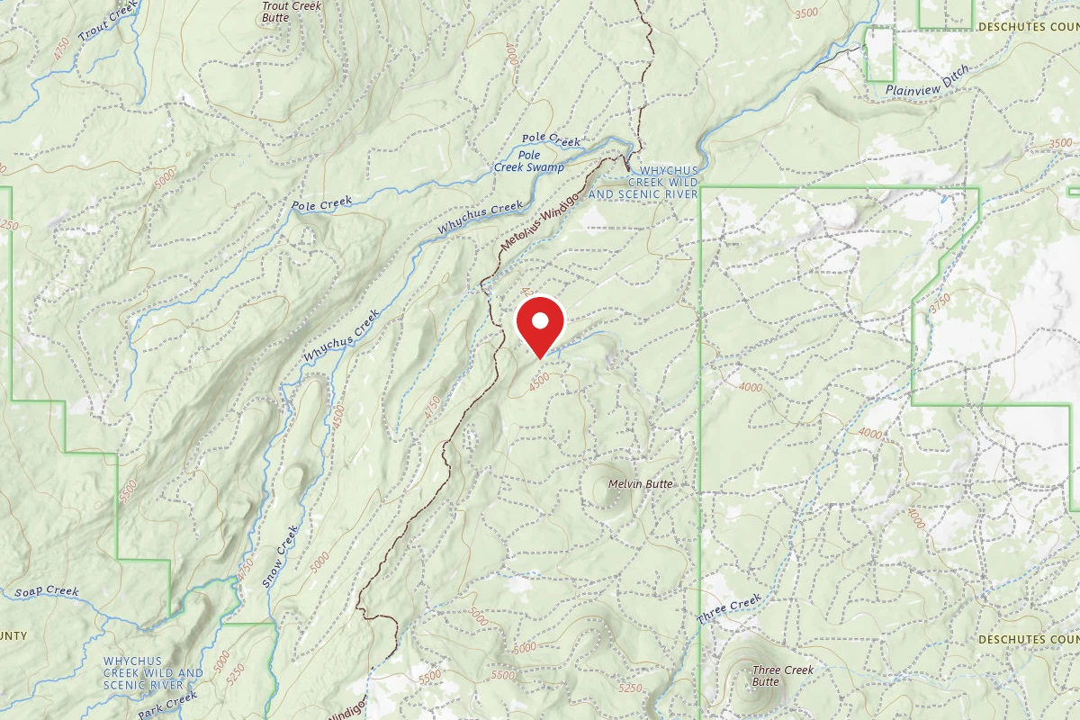 Black Pine Dispersed Camping Area