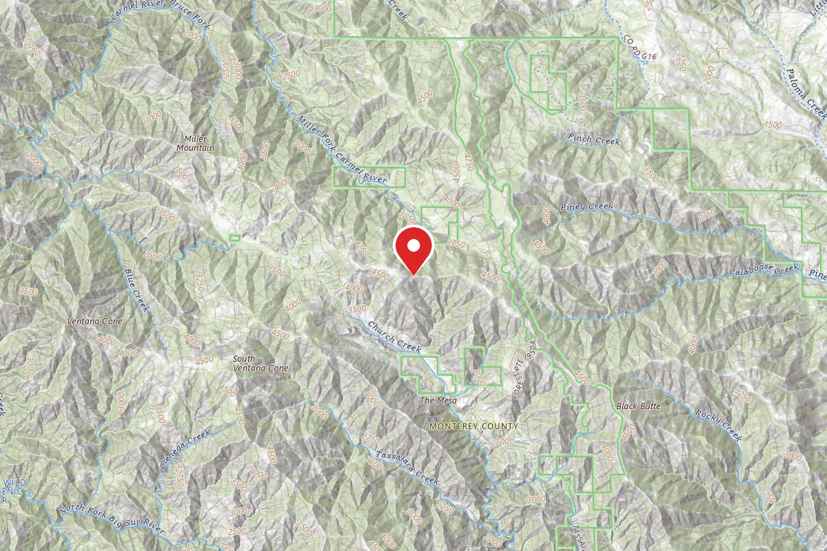 Dispersed Site near 36.2945, -121.5914