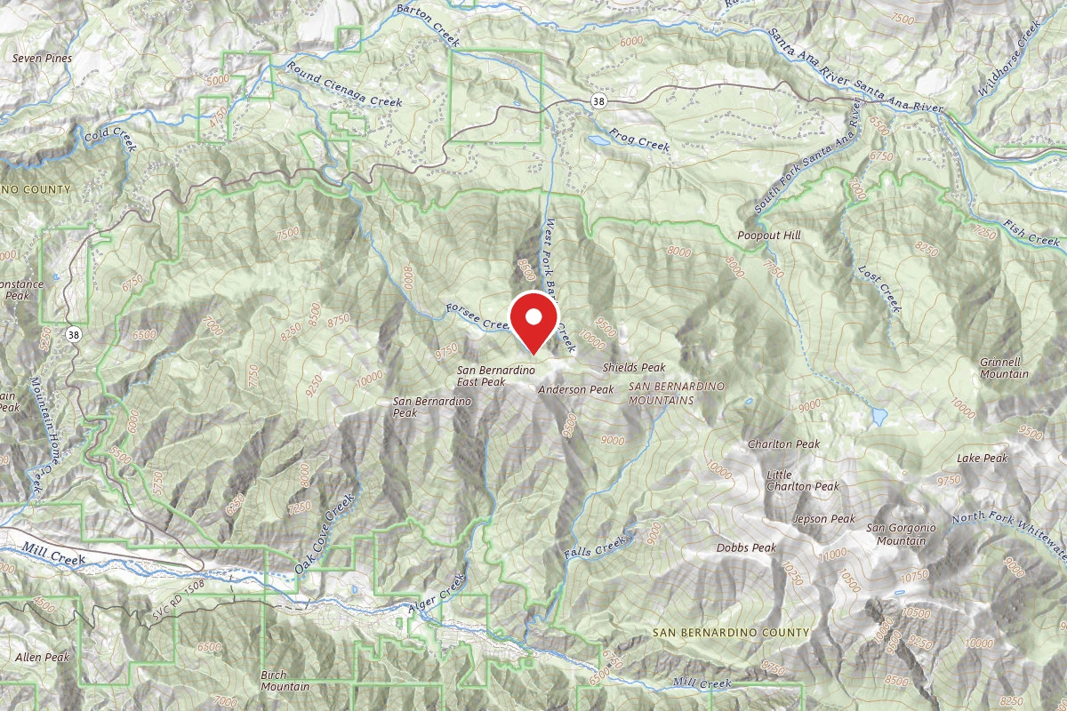 Dispersed Site near 34.1300, -116.8945