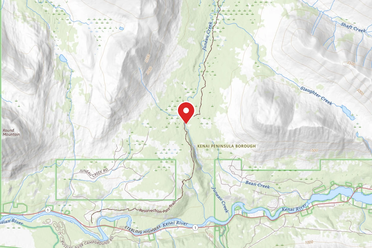 Dispersed Site near 60.5117, -149.9021