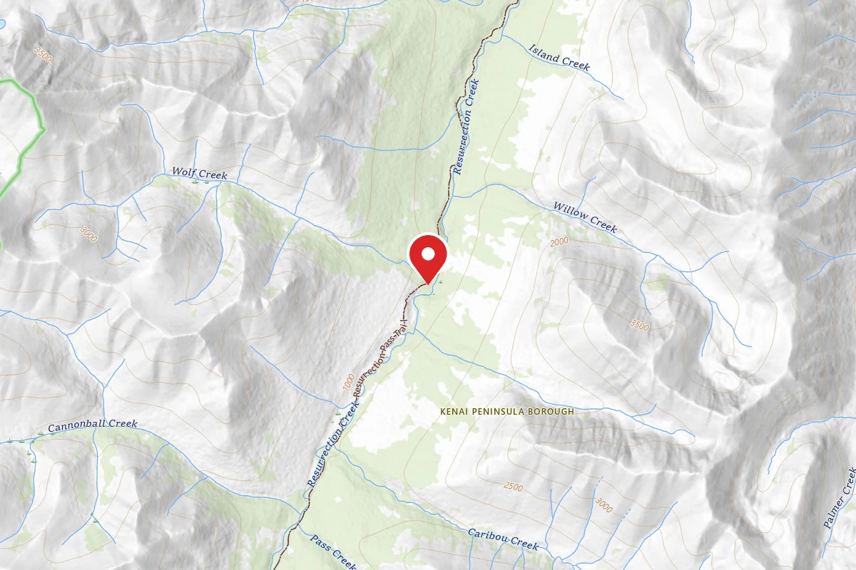 Dispersed Site near 60.8025, -149.6543