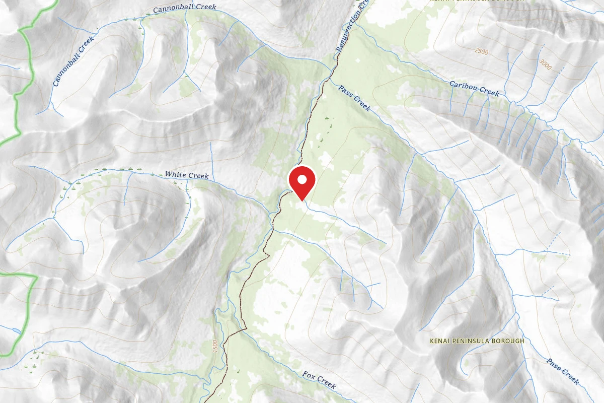 Dispersed Site near 60.7538, -149.6951