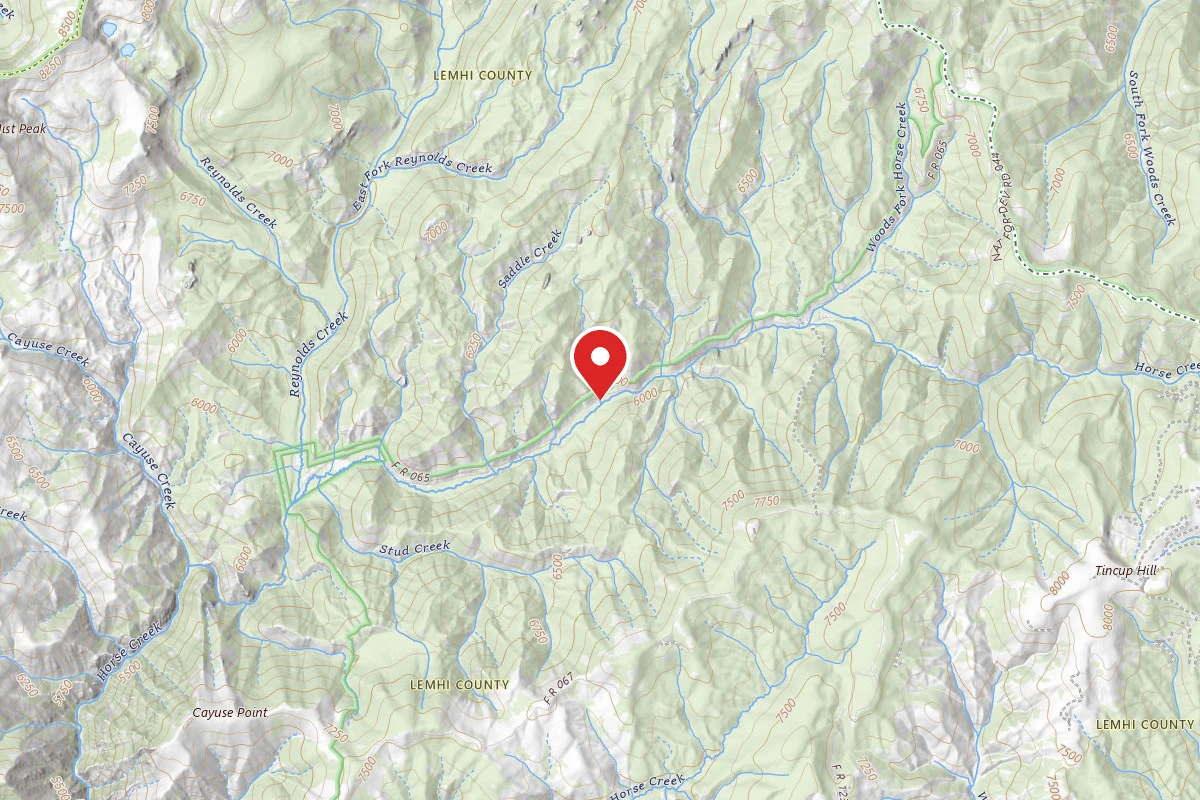 Dispersed Site near 45.4940, -114.4981