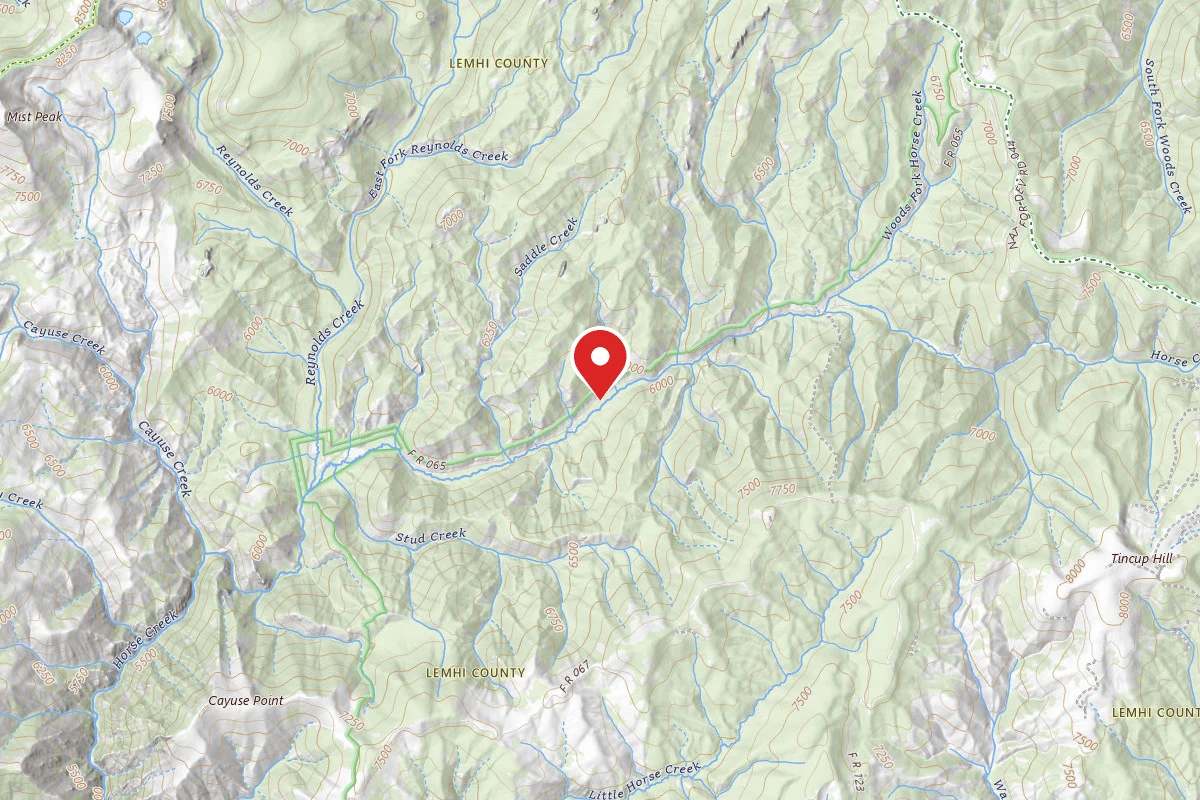 Dispersed Site near 45.4927, -114.5010