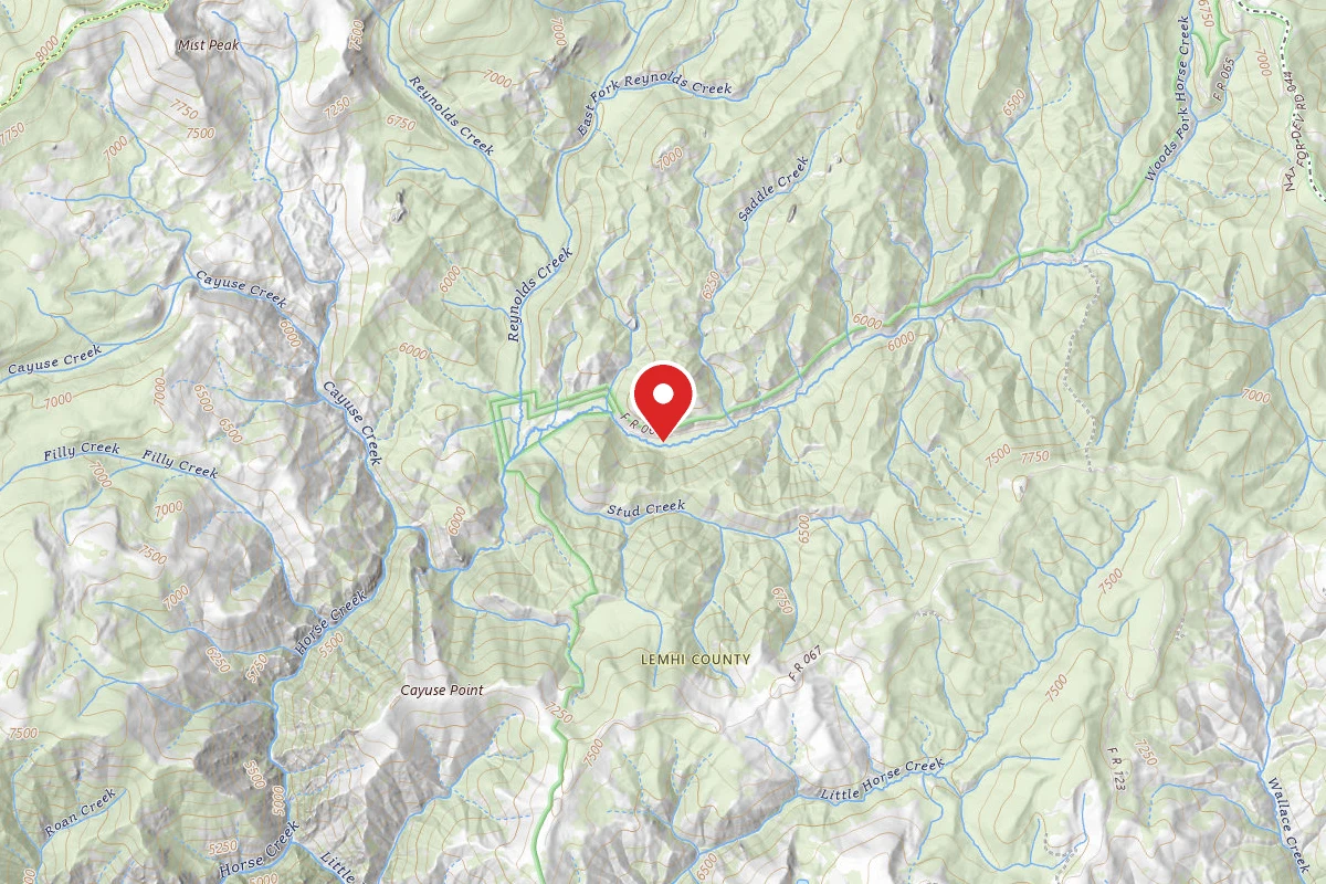 Dispersed Site near 45.4835, -114.5273