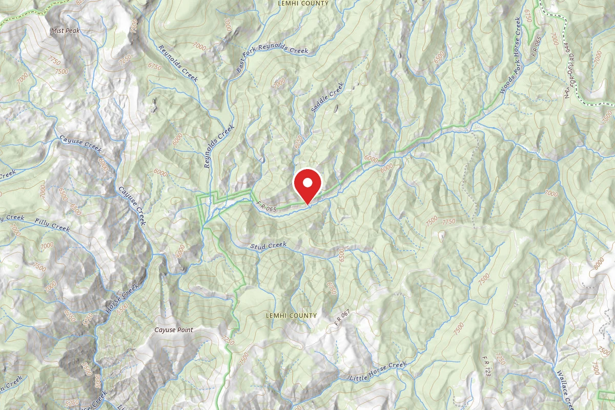 Dispersed Site near 45.4858, -114.5169