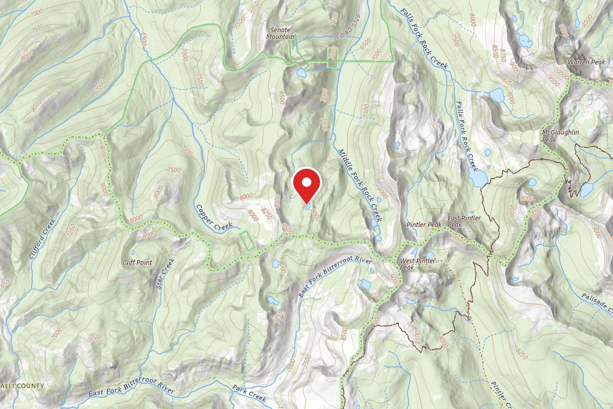 Dispersed Site near 45.9540, -113.5469