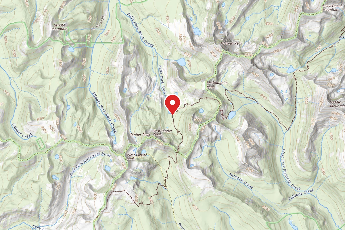 Dispersed Site near 45.9574, -113.4882