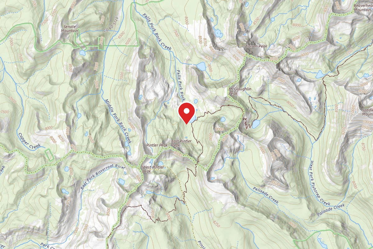 Dispersed Site near 45.9572, -113.4911