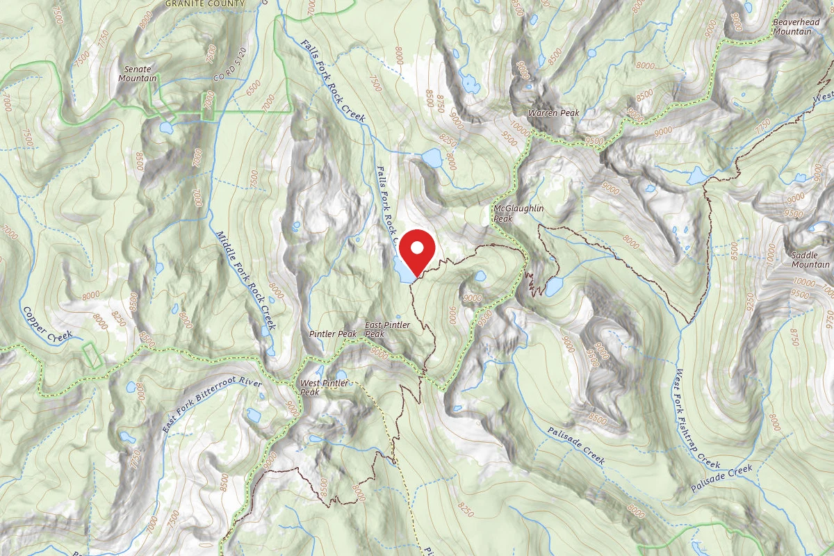 Dispersed Site near 45.9589, -113.4868