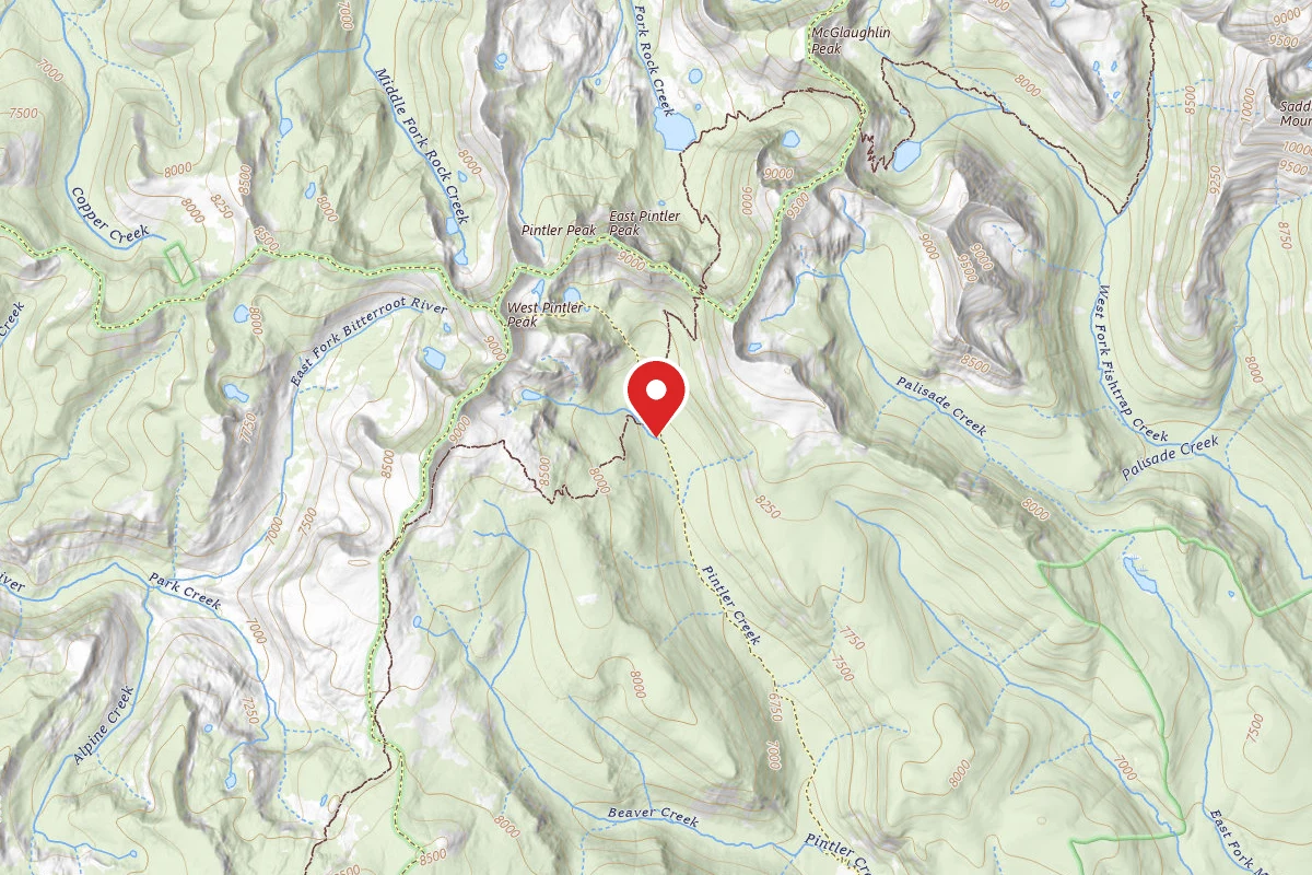 Dispersed Site near 45.9267, -113.4922