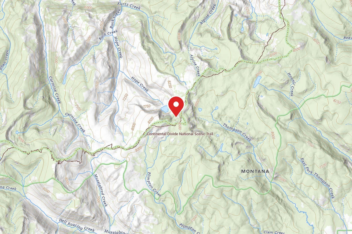Dispersed Site near 45.8533, -113.5978