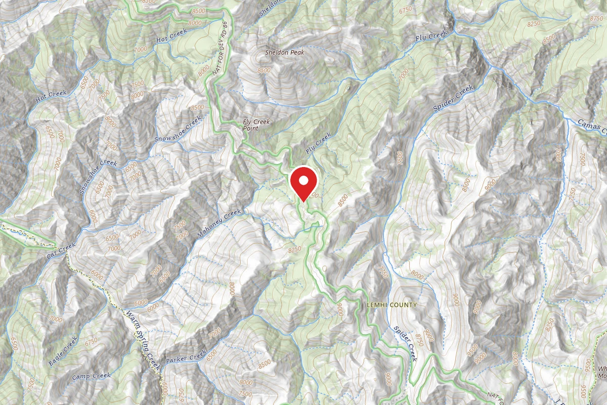 Dispersed Site near 44.6640, -114.5482